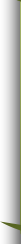 Burnsville MN Dentist Dr. Holm