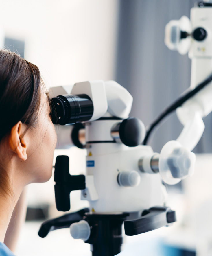 A dental microscope in use